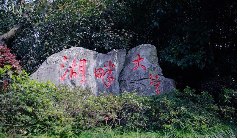 王思聪最励志前女友：年赚过亿，30岁时，花58万学费挤进马云朋友圈