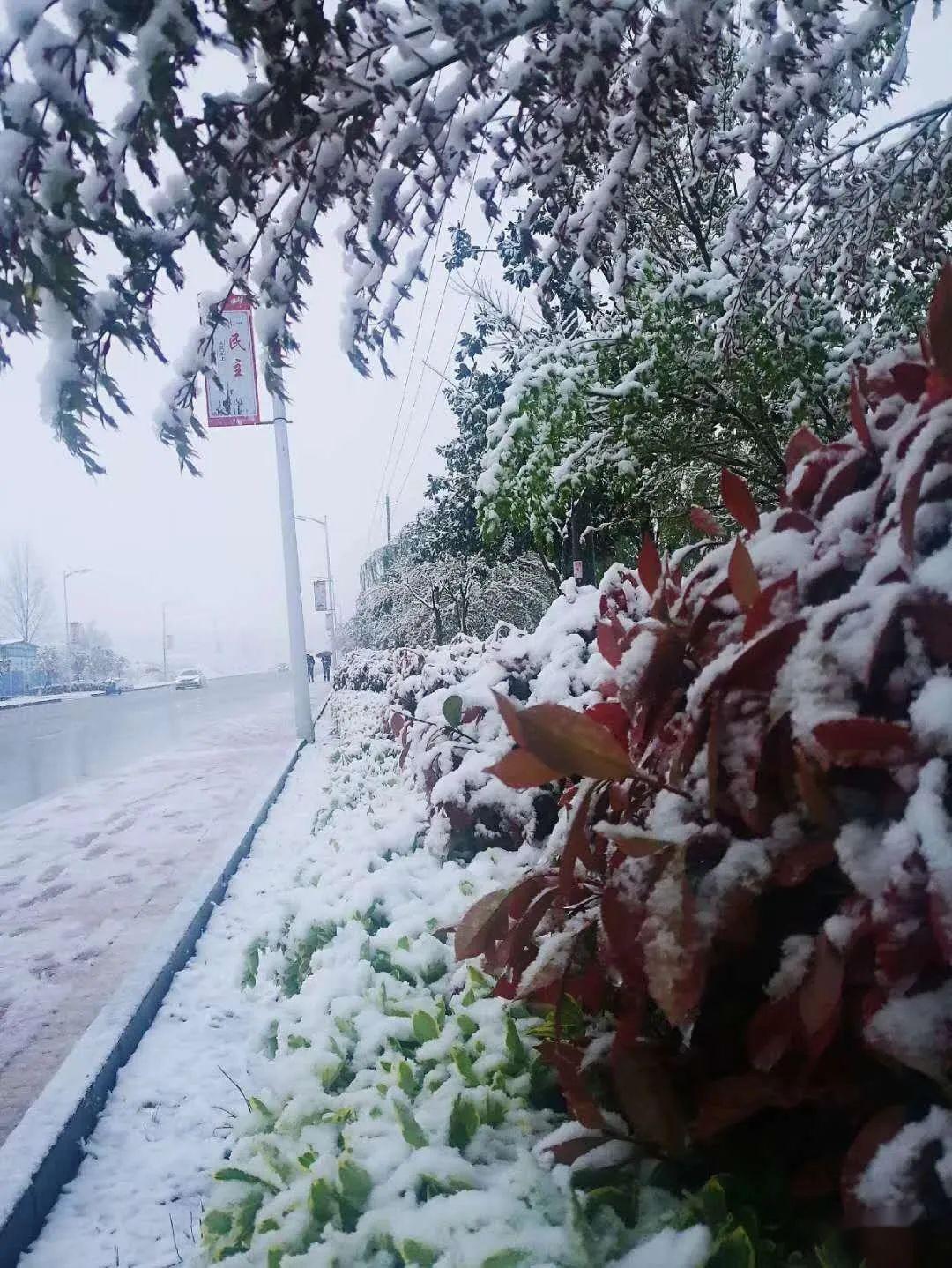 房县雪景图新鲜出炉明天还有小雪大家注意保暖