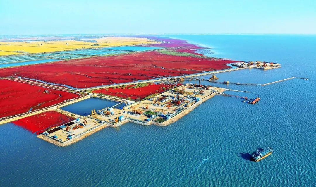 读盘锦|石油文化的花蕾_辽河油田