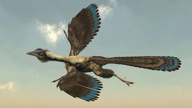 近鸟类恐龙扑翼飞行或有多个独立来源