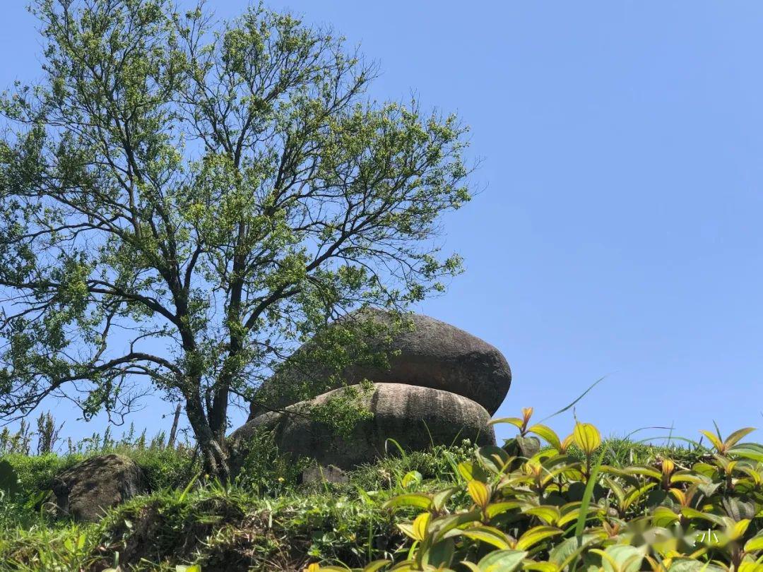 福清大姆山景区开放啦!