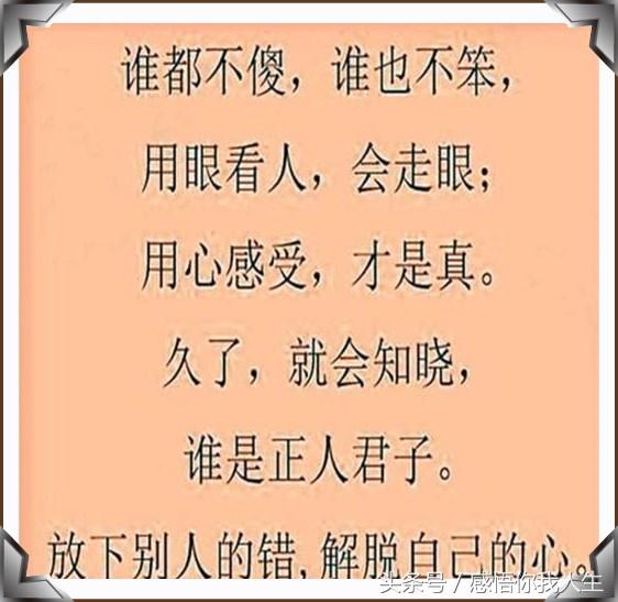 醉仙驱魔简谱_醉仙美简谱(2)