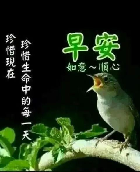 朋友圈早上好正能量问候最新版漂亮图片,最美表情图片