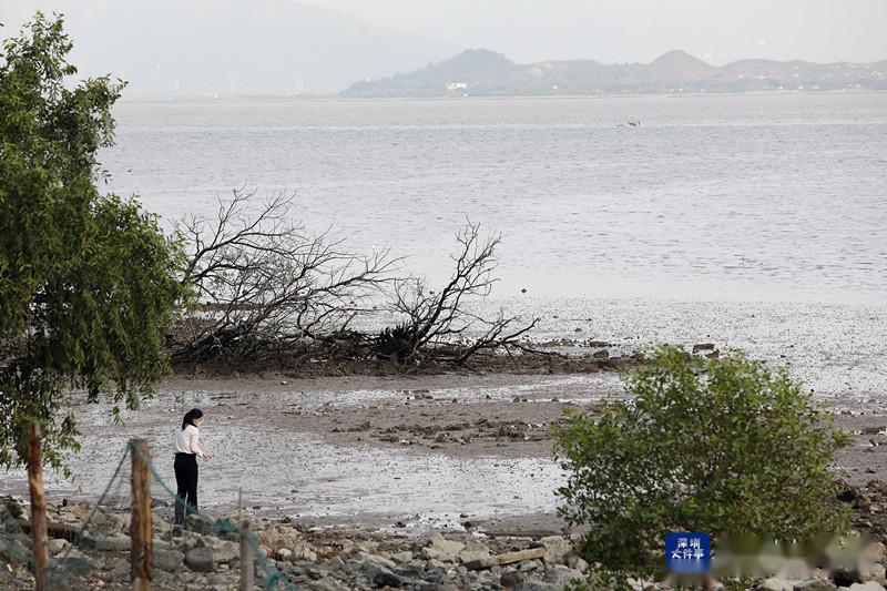 环评报告涉抄袭陷舆论风波前，中科院南海所刚获省科学技术奖奖项