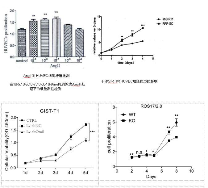 细胞增殖毒性检测方法比较及cck8法活力测定