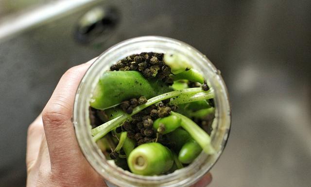 什么是少渣蔬菜 5ae2e698822940f093dd4def90aeeb7e.jpeg