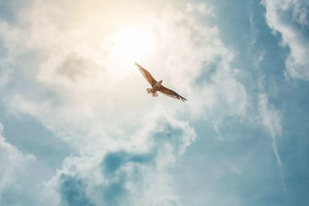 海阔天空,勇敢活出你自己