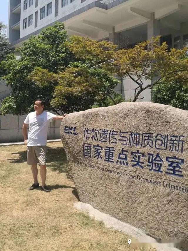 「隐身」?这些高校何以集体“隐身”（公立篇）