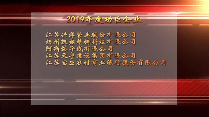 电子(宝应)有限公司江苏润扬管件有限责任公司江苏远扬科技集团宝胜