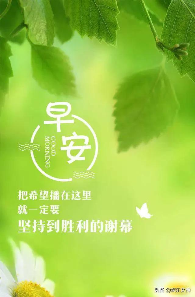 29周末早安,新的一天愿健康快乐陪伴你!
