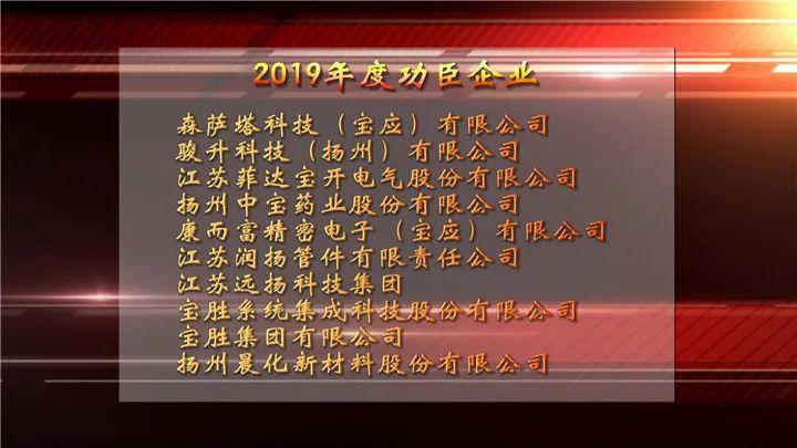 电子(宝应)有限公司江苏润扬管件有限责任公司江苏远扬科技集团宝胜