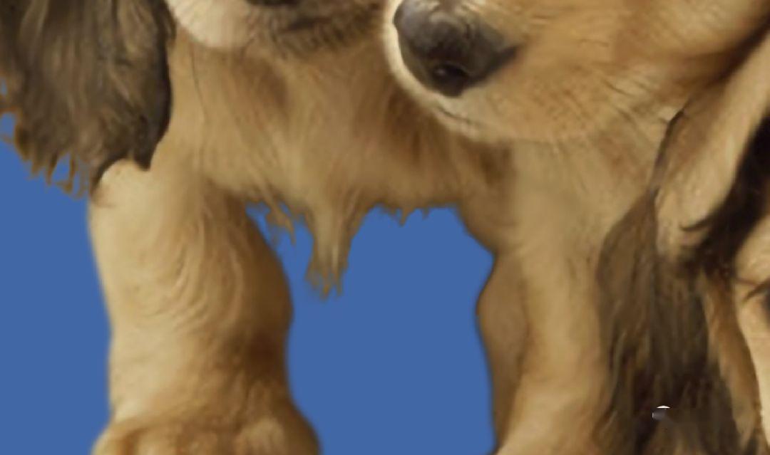 8b6c469c0a244aa0a805cb1741d12cff.jpeg