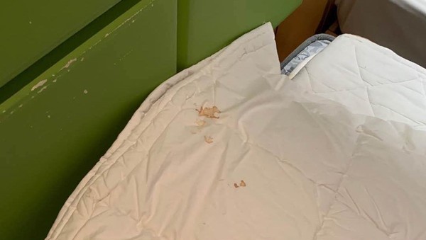 隔离酒店一天240元「床单有血迹臭味」 留学生住2天:我发烧了!