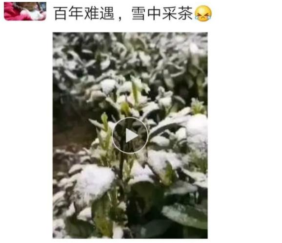 英山各乡镇gdp_英山四季花海景区