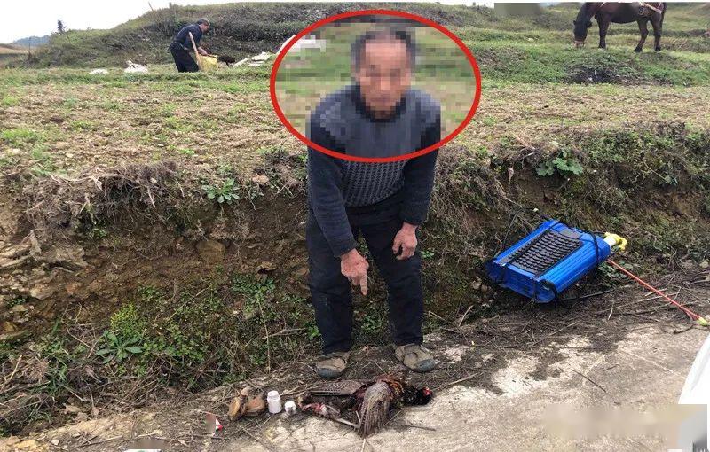 顶风作案男子山上非法猎捕野鸡缴获火药枪一支钢珠30余颗及火药等