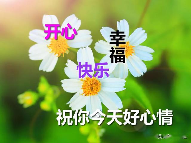 祝你幸福常在好运常来