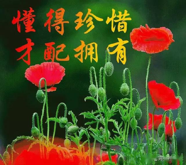 2020早上好快乐祝福短信大全,早上好漂亮问候祝福语图片表情美图