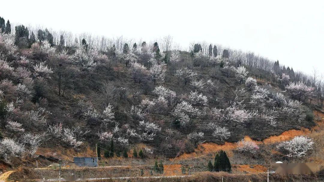 大营寺古洼