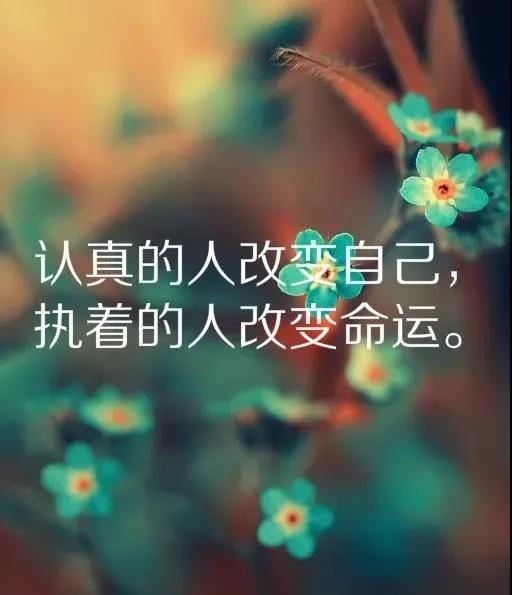 余生别去惯得寸进尺的人,早安