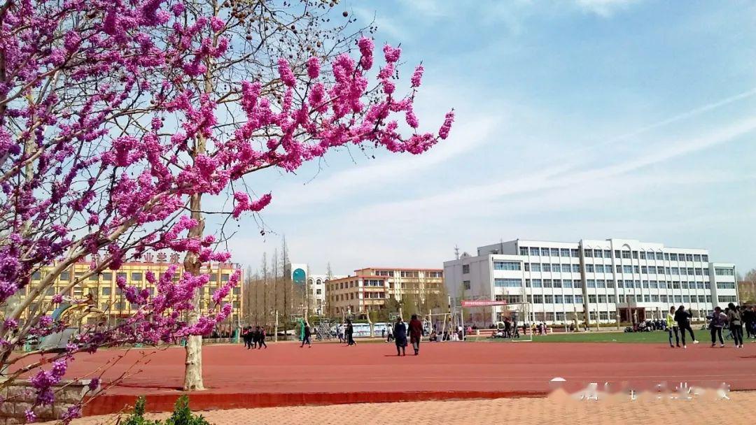 2020年烟台技校排名_山东港口烟台港2020年职业技能等级认定结束