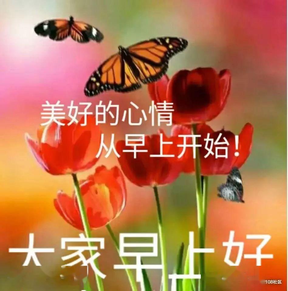 早上好问候美图,早安问候语句