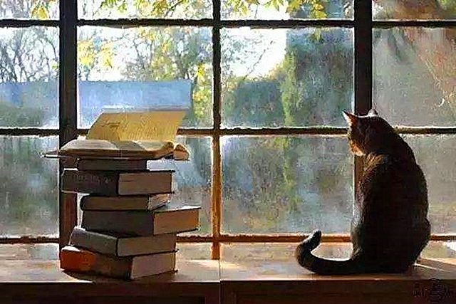 我最喜欢的意境,一是窗前看雨,二是灯下读书.