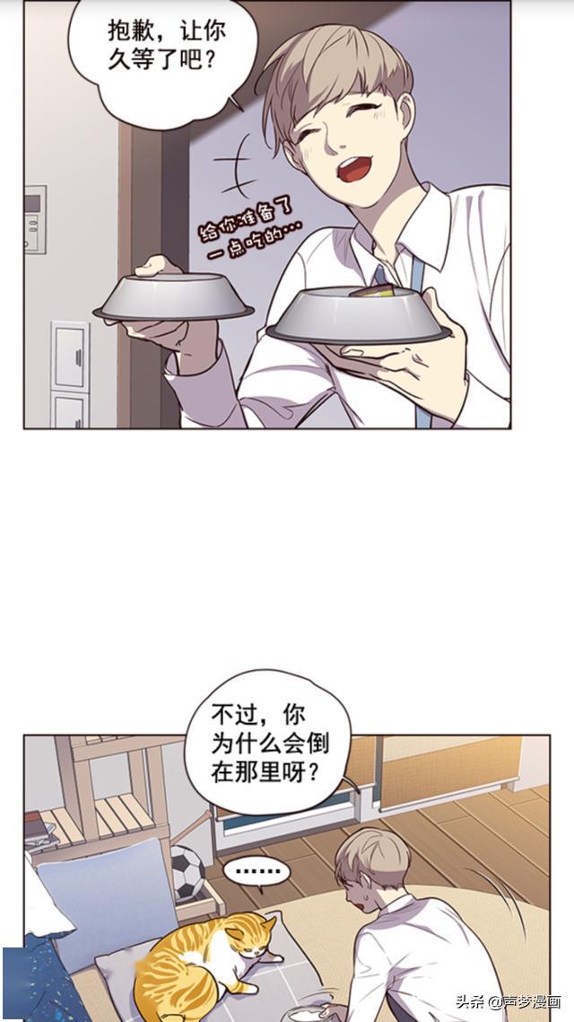 救了一只会说话的大肥猫,金黄色的(漫画)