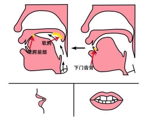 接下来每个舌面音提供三组词语,以供小朋友们更好的学习.