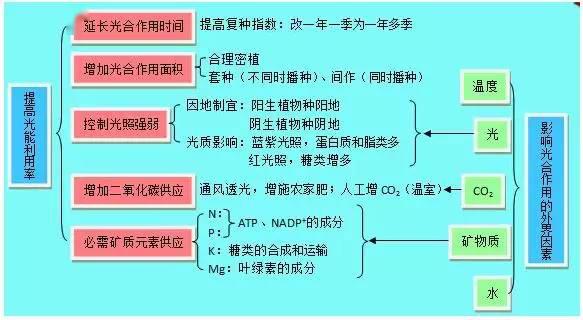 核内dna,染色体和染色单体变化规律 光能利用率与光合作用效率的关系