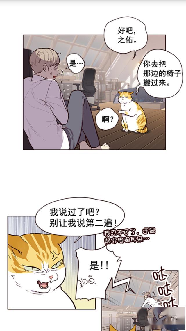 救了一只会说话的大肥猫,金黄色的(漫画)