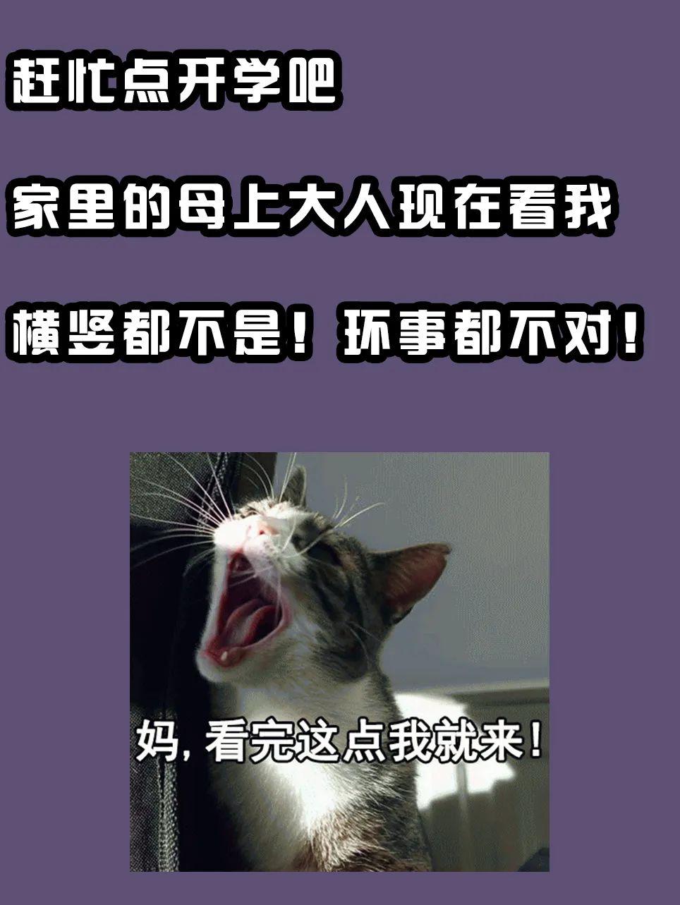 距离"万兽归笼"还有██天.