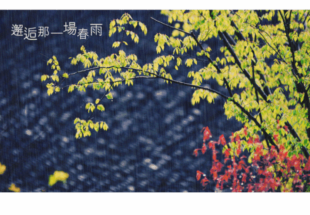 春雨过后早晚有微微寒意