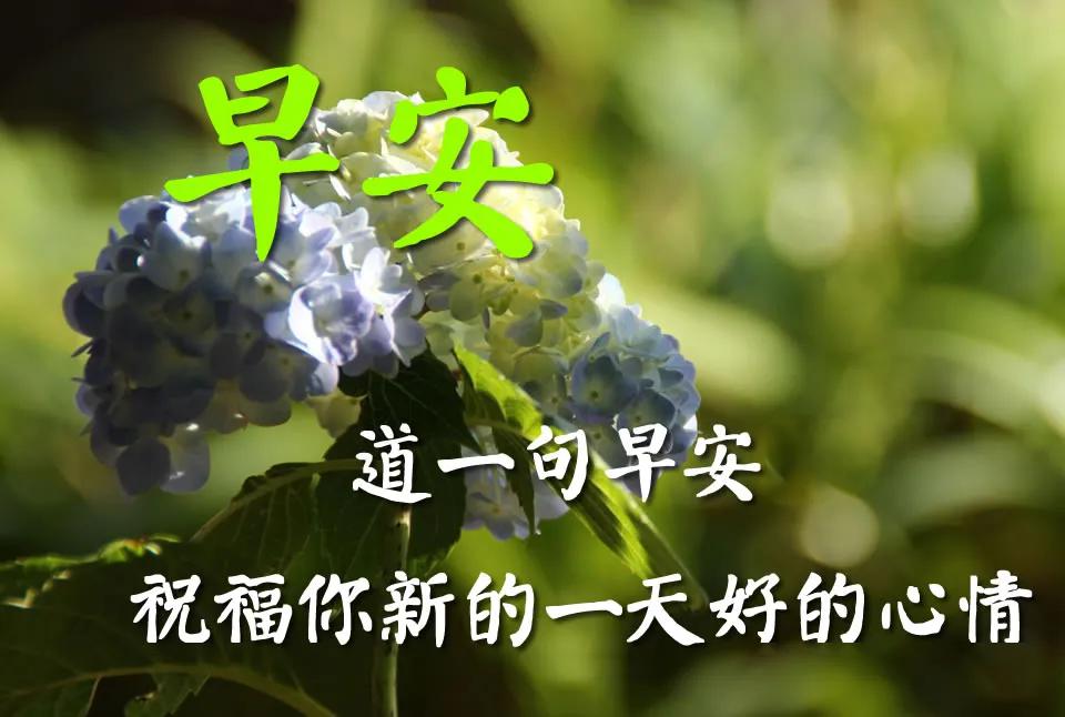 ϺʻͼƬ 糿ʻͼʺ2020