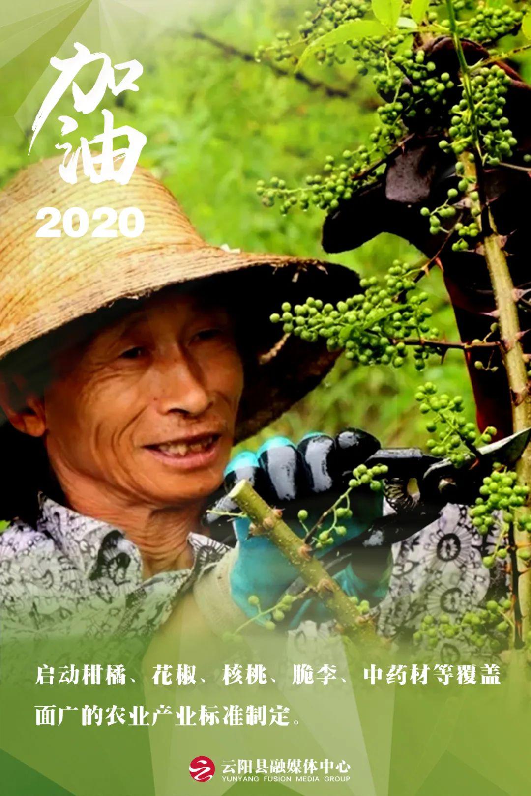 2020云阳户籍人口_云阳龙缸