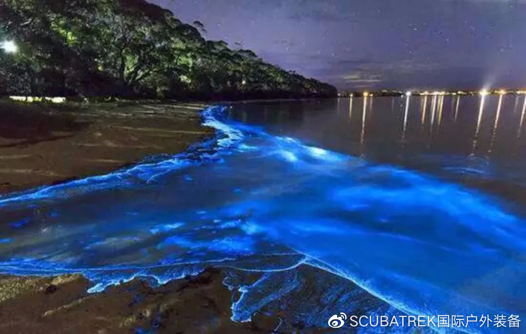 绝美海滩蓝眼泪丨福建小众海岛成新晋网红打卡地