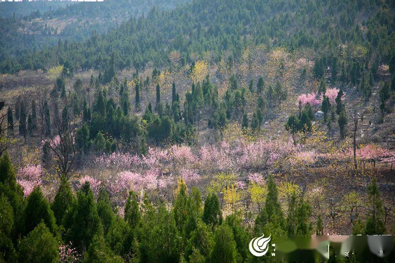 记者 | 袁鹏,孟祥新 来源丨大众网枣庄·海报新闻 28日,在枣庄高新区