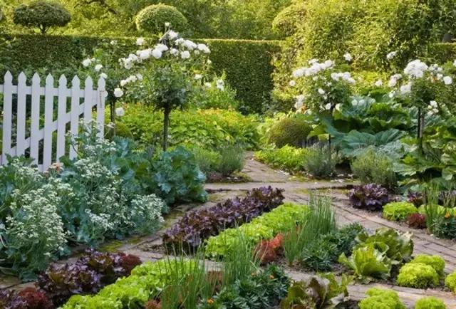 这种蔬菜花园其实无需占地太多,几百平米或几十平米,甚至几平米都会