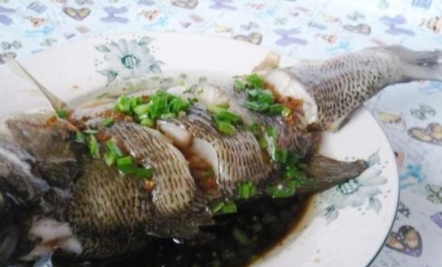鱼怎么蒸才好吃的家常做法 40d8b8bcc7f8425e96fb10339643870c.jpeg
