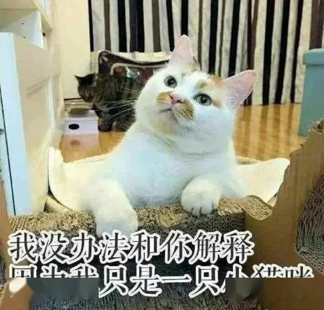 54576f07066d41c0848ca6ca5ad1d606.jpeg
