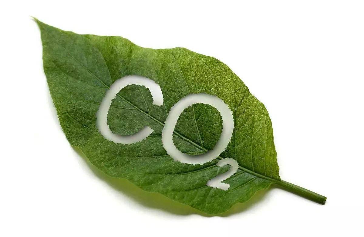 斗牛赌博怎样做牌官网