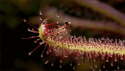 224,搞笑gif动图【笑话】事实再一次证明,不听老人言