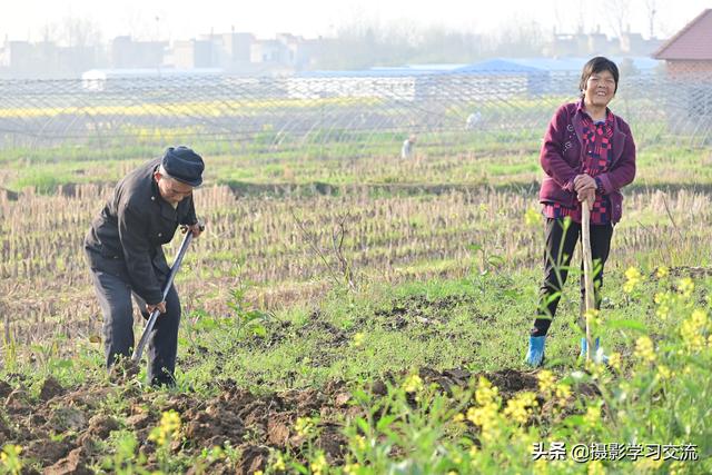 2020年湖北的天门的春耕格外值得纪念