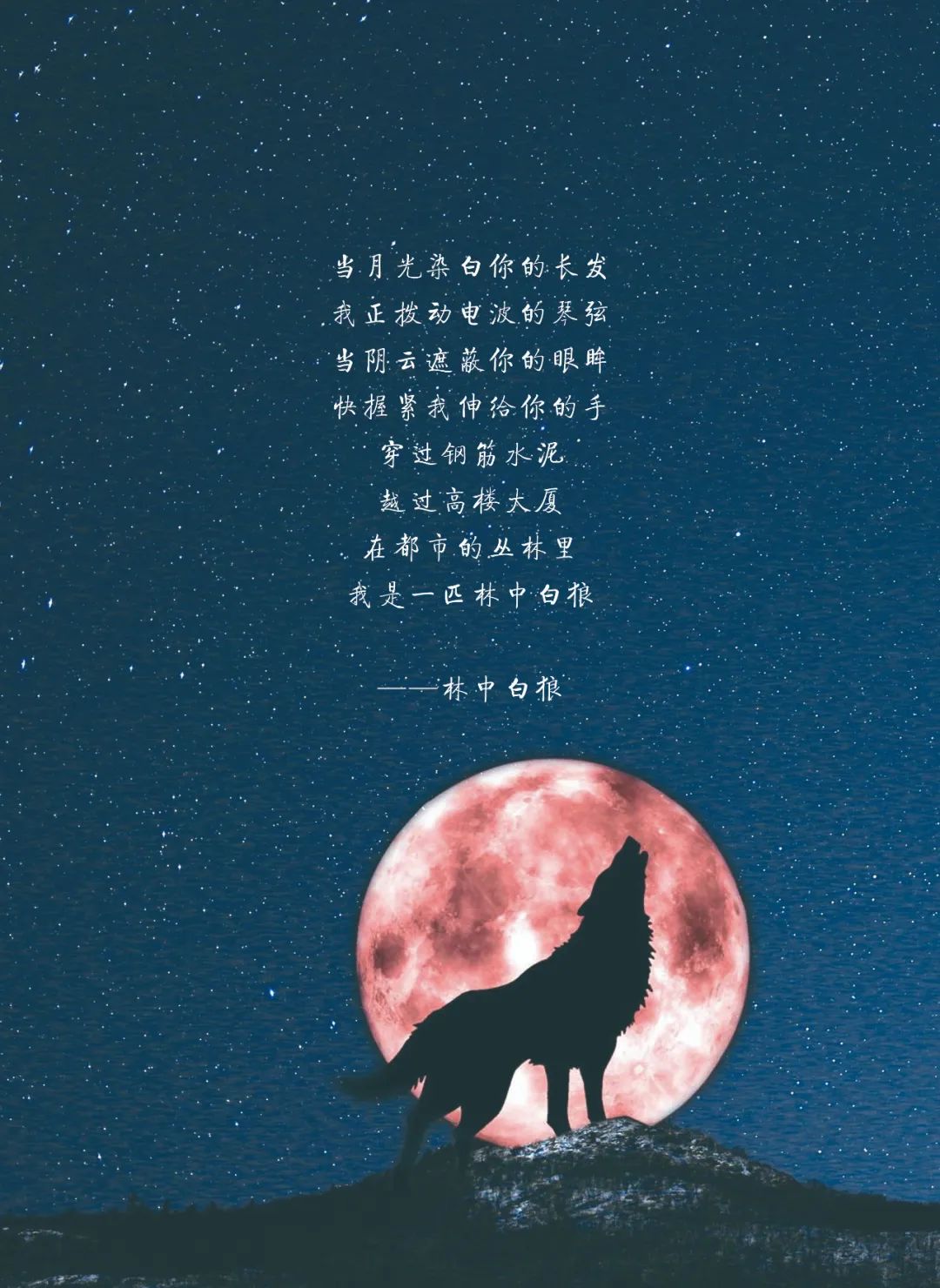 请查收邮件:《夜空守望者花名册》第一版