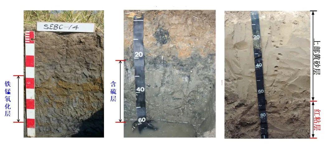 章海波土壤剖面中特殊发生层影响下污染物垂向分布及解析v05