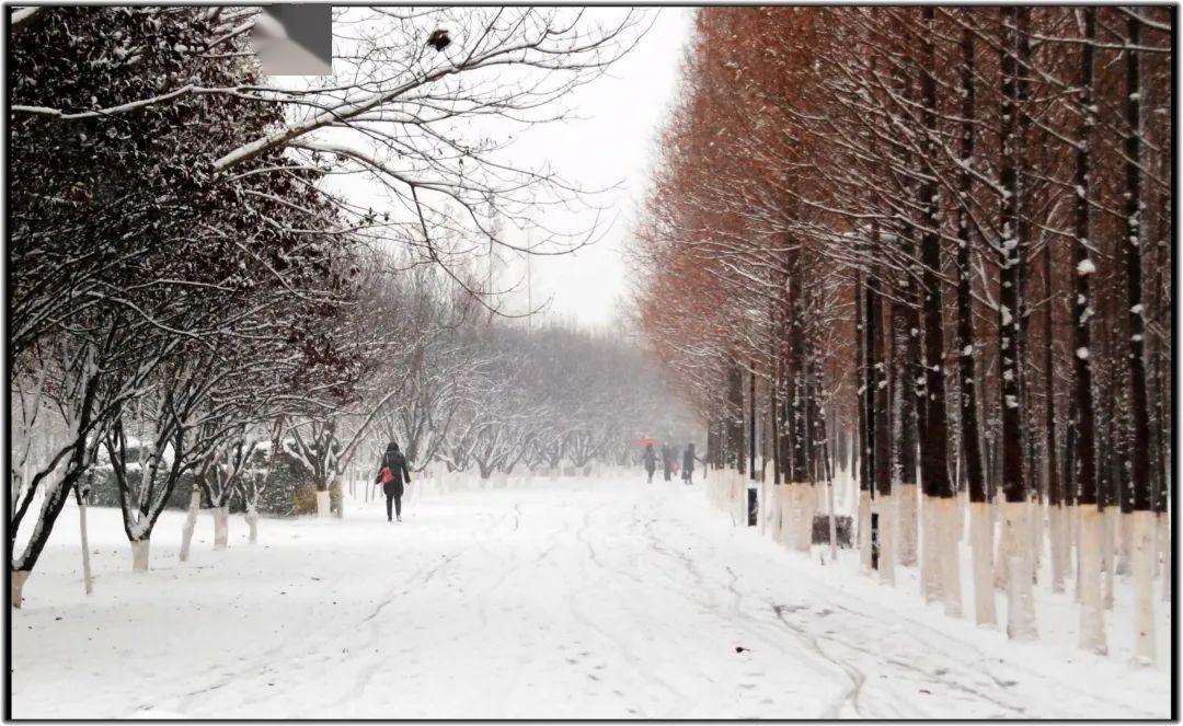 春赏百花冬观雪.