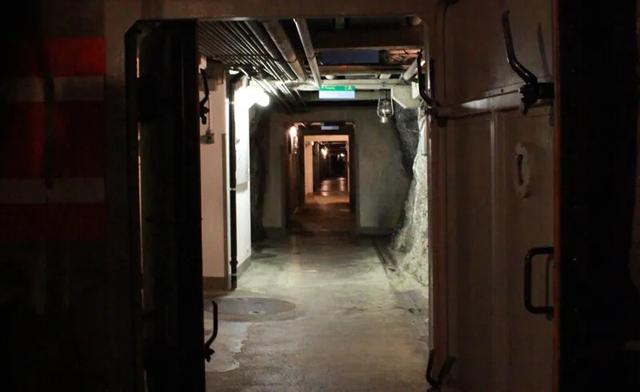 别人刚开始囤枪，一些美国人连末日堡垒都建好