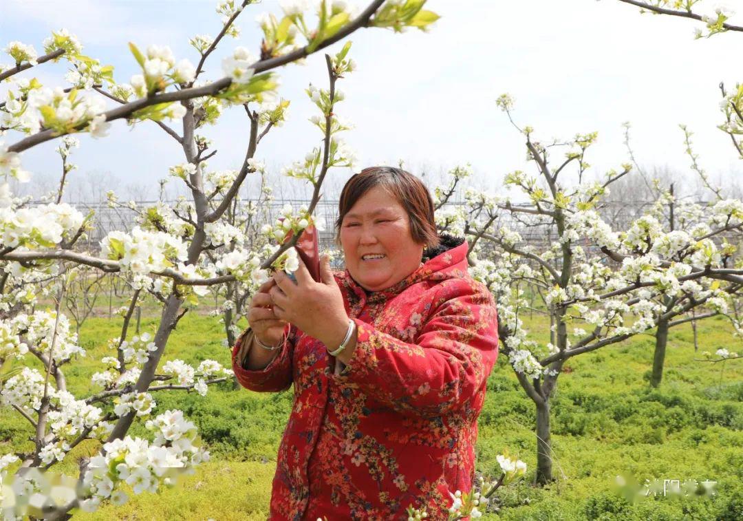 沭阳显人口_沭阳地图乡镇