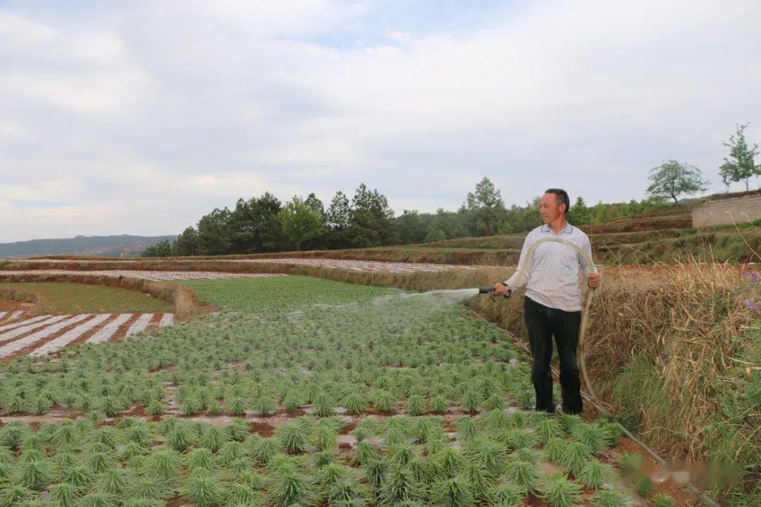 威宁哲觉聚焦脱贫攻坚构建产业发展新格局