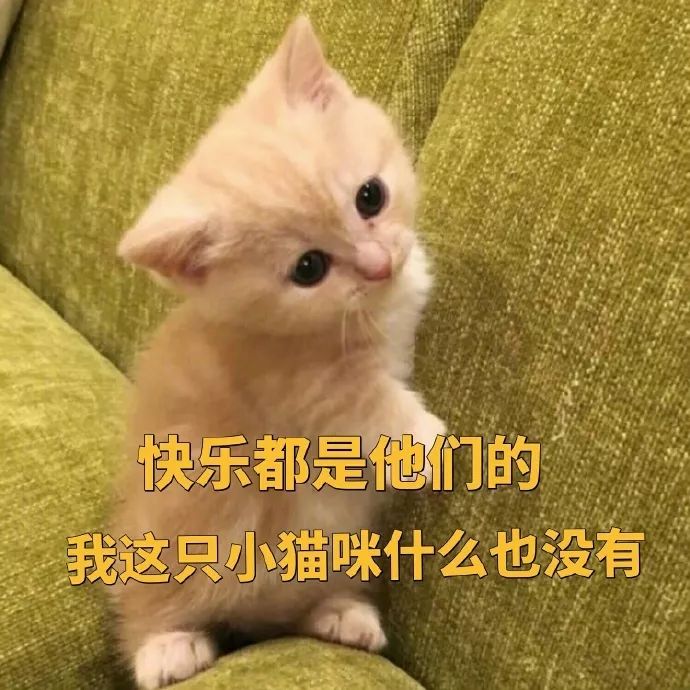 (猫咪)没回就是在看电视(猫咪)很疲惫了(猫咪表情包)缺儿斯(cheers 狗