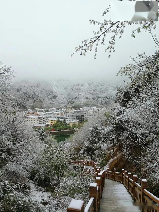 一觉醒来变冬天汉中佛坪下雪啦